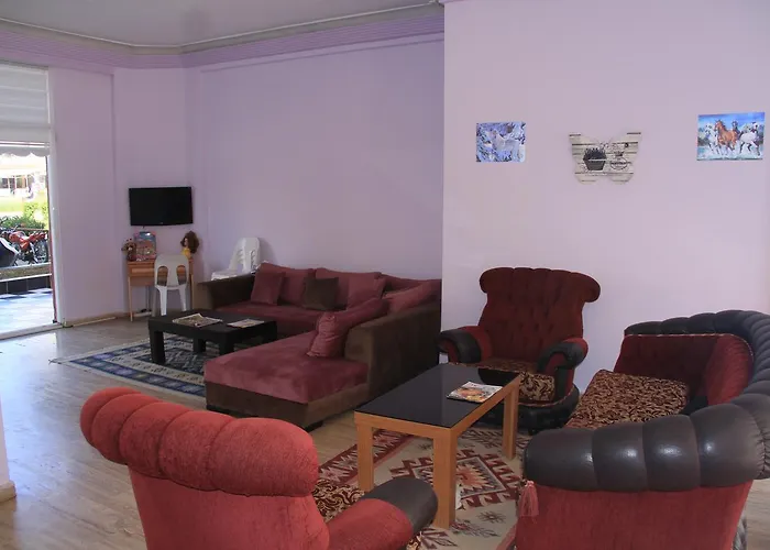 Cozmina Apart אלאניה