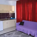 Cozmina Apart Otel *