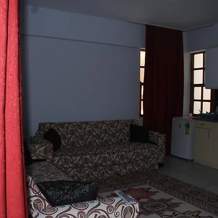 Cozmina Apart Готель Аланія